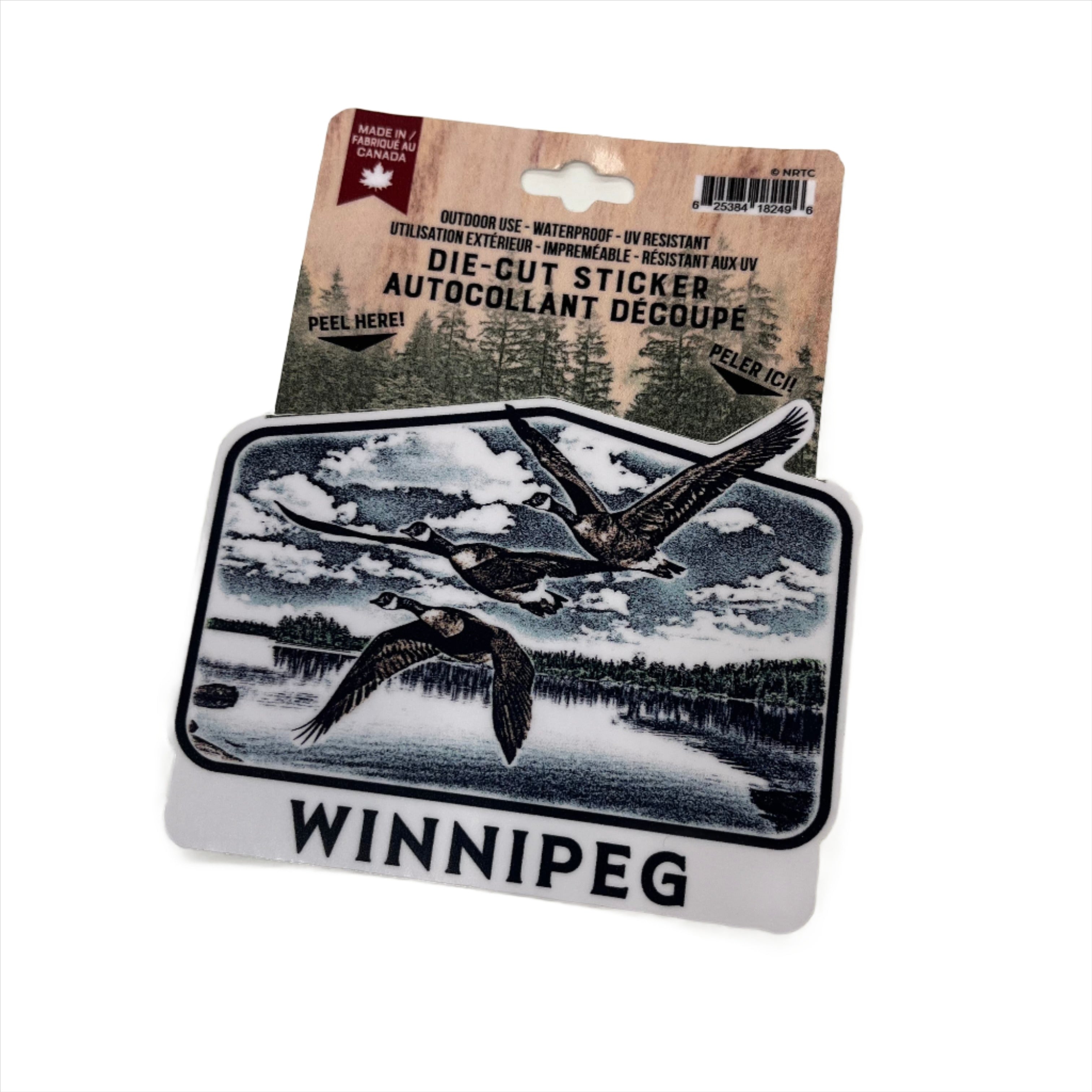 WINNIPEG GEESE STICKER