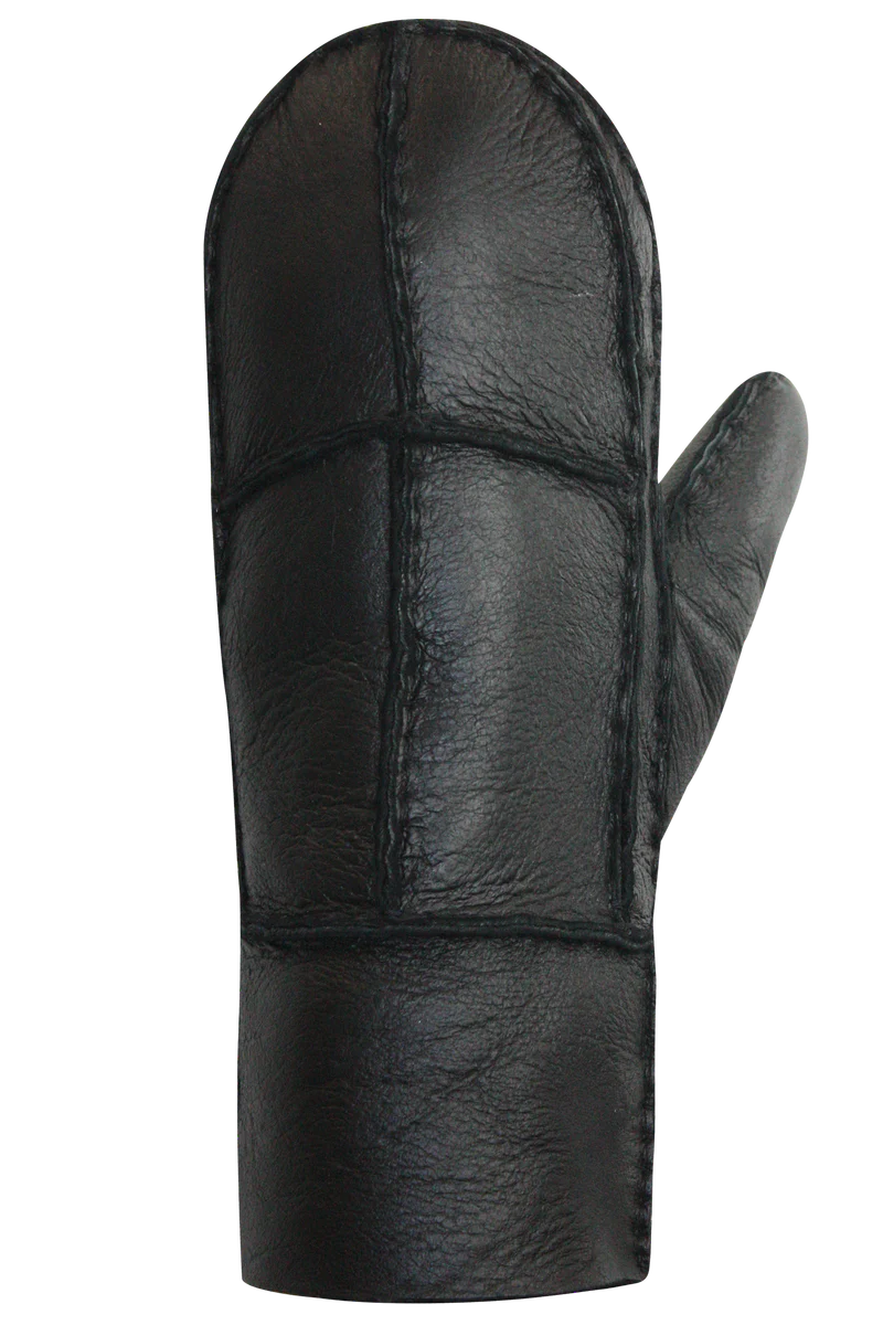 GABRIELLE WOMENS LEATHER MITTS