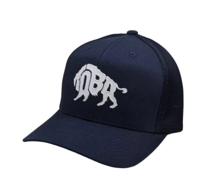 TOBA SNAPBACK BISON HAT